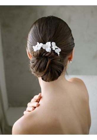 G. Westerleigh HC0424 Pettine per capelli ()