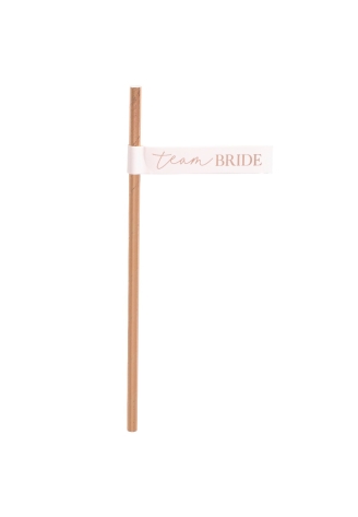 Ginger Ray HN-825 Blush Hen Straws