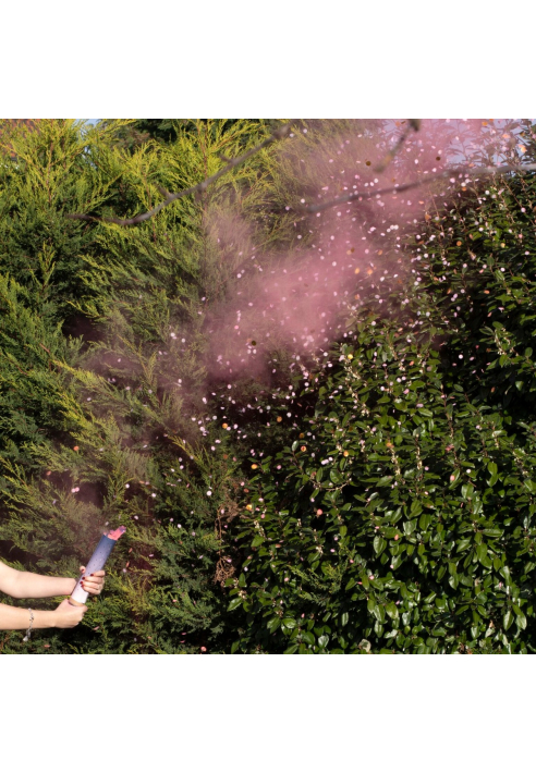 Ginger Ray GR-132 Gender Reveal - Revelazione di Genere Rosata ()