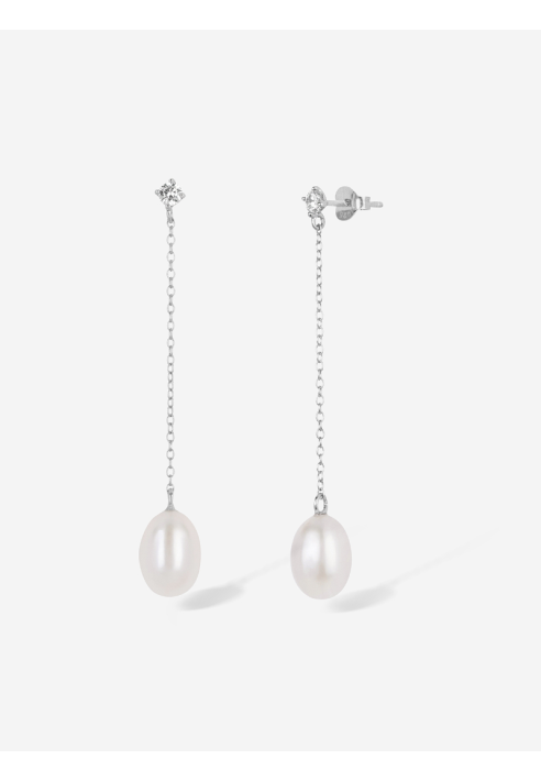 Abrazi Ashley Orecchini