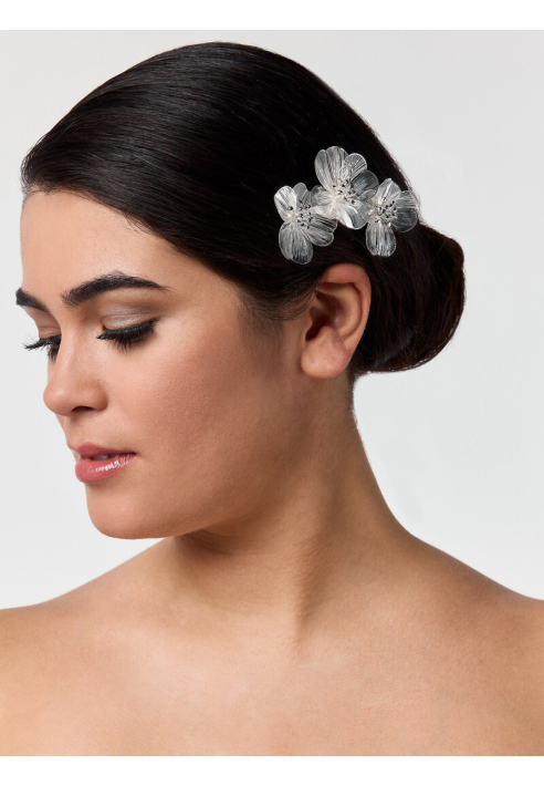 Poirier Pettinecapelli Argentato ()