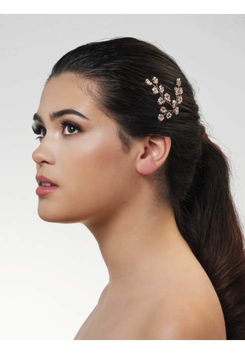 Poirier BB-274 Forcina per Capelli ()