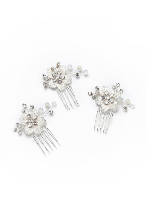 Poirier BB-420 Pettine per Capelli in Argento