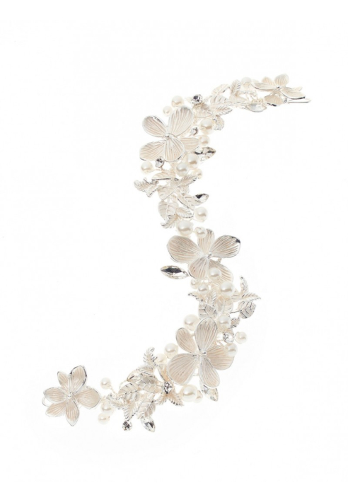 Poirier BB-433 Accessori per il Pelo Argento