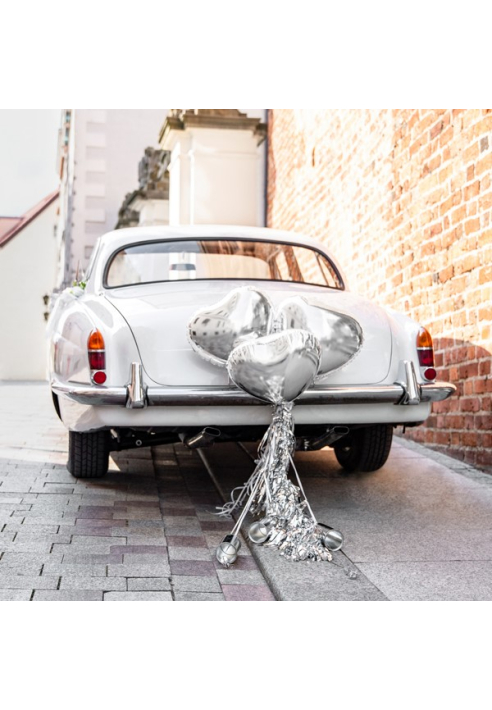 Party Deko ZDS1-018 | Decorazioni per auto - Kit argento ()