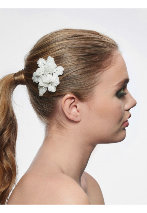 Poirier BB-249 Pettine per capelli ()