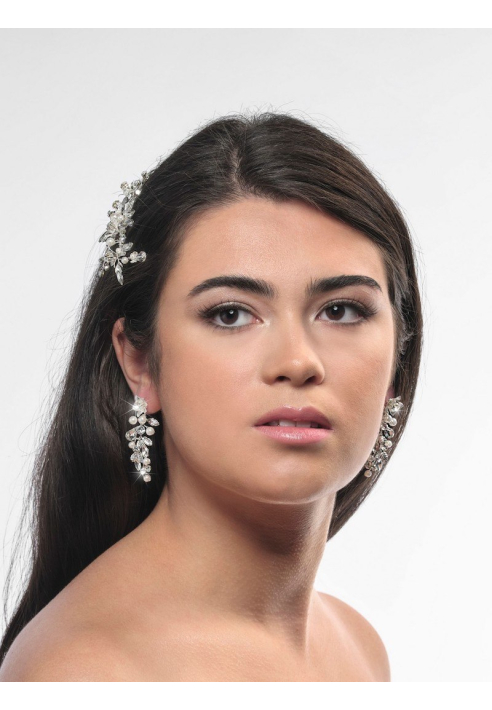 Poirier NC-1324 Orecchini Argento ()