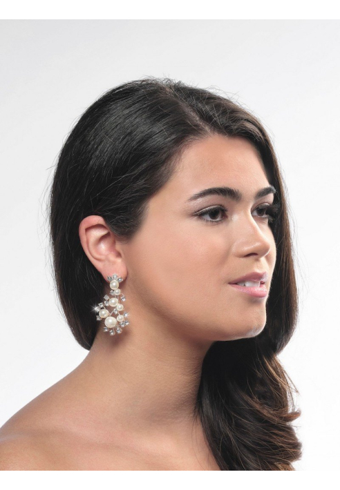 Poirier NC-1338 Orecchini Argento ()