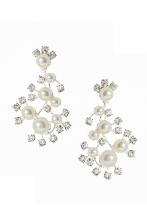 Poirier NC-1338 Orecchini Argento