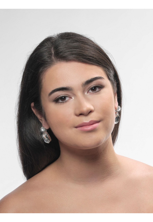 Poirier NC-1339 Orecchini Argento ()